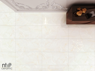 Керамогранит NT Ceramic Onyx Predo арт. NTT99504P (60x120) полированный